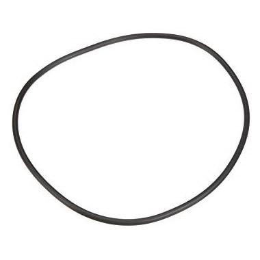 Pentair/Sta-Rite Seal Plate Replacement O-Ring for Maxeglass (P/N: U9-228A) - Aqua-Tech 