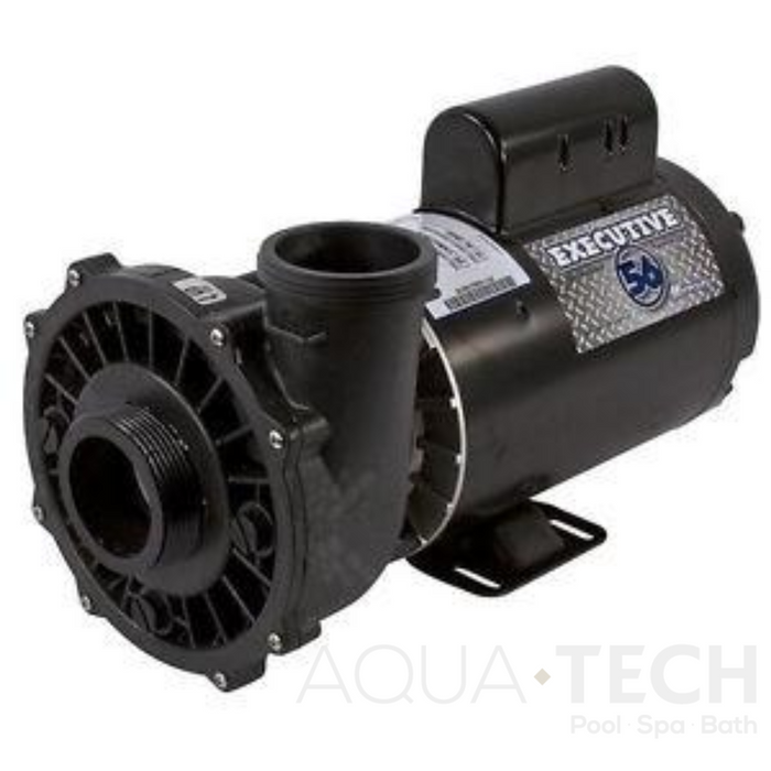 Waterway Executive 56 Frame Pump 5HP, 4 OP HP, 2 Speed (P/N: 3722021-1D)