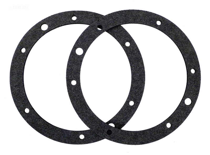 Pentair Light Gasket Set (P/N: 79204603)