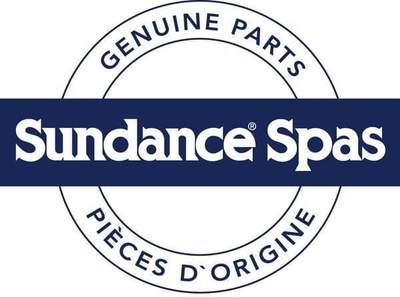 Sundance Spas Light Control (P/N: 409114) SHIPS IN 8 TO 10 WEEKS APPROX