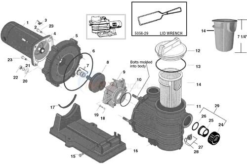 Pentair/Sta-Rite Trap Cover O-Ring (P/N: U9-375) - Aqua-Tech 