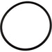 Pentair/Sta-Rite IntelliPro Lid O-Ring (P/N: 350013) - Aqua-Tech 