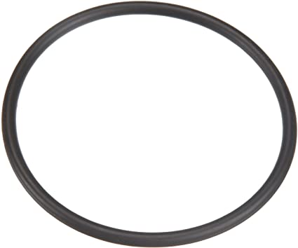 Pentair System III Filter O-Ring (P/N: 35505-1425)