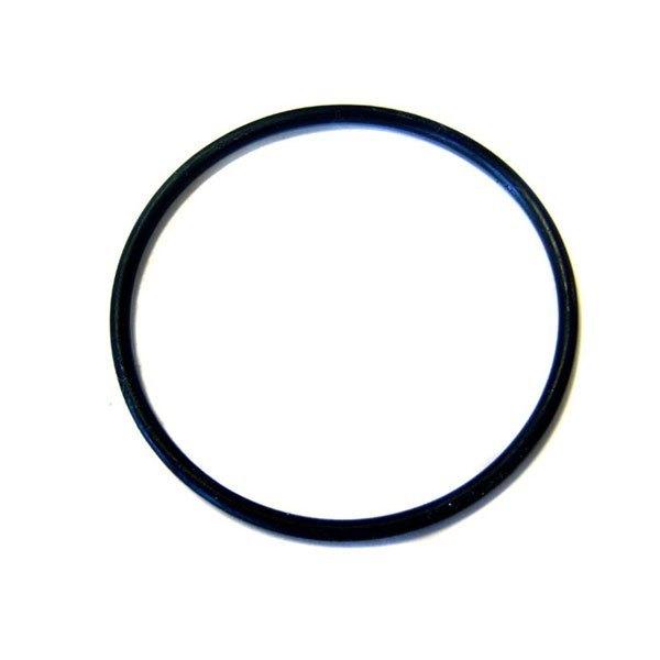 Zodiac/Jandy Lid O-Ring Replacement (P/N: R0480200) SHIPS IN 2 WEEKS